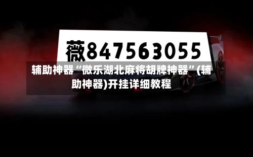 辅助神器“微乐湖北麻将胡牌神器”(辅助神器)开挂详细教程-第2张图片