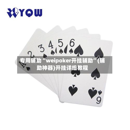专用辅助“weipoker开挂辅助”(辅助神器)开挂详细教程-第3张图片