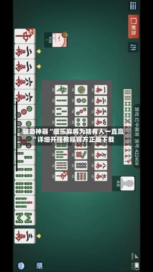 辅助神器“微乐麻将为啥有人一直赢”详细开挂教程官方正版下载-第2张图片
