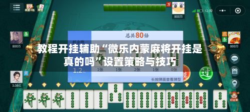 教程开挂辅助“微乐内蒙麻将开挂是真的吗”设置策略与技巧-第3张图片