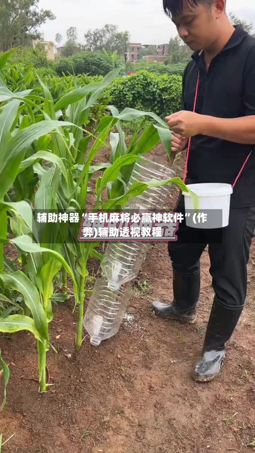 辅助神器“手机麻将必赢神软件”(作弊)辅助透视教程-第3张图片