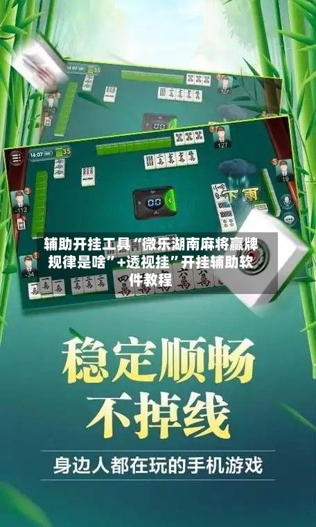 辅助开挂工具“微乐湖南麻将赢牌规律是啥”+透视挂”开挂辅助软件教程-第2张图片