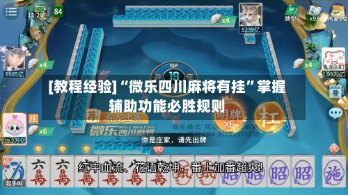 [教程经验]“微乐四川麻将有挂”掌握辅助功能必胜规则