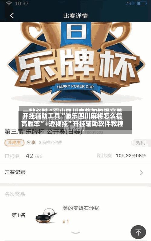 开挂辅助工具“微乐四川麻将怎么提高胜率”+透视挂	”开挂辅助软件教程-第3张图片