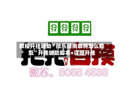 教程开挂辅助“微乐湖南麻将怎么能赢”开挂辅助脚本+详细开挂-第3张图片