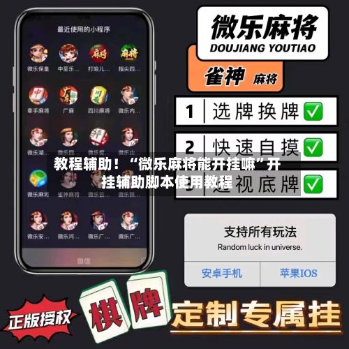 教程辅助！“微乐麻将能开挂嘛”开挂辅助脚本使用教程-第3张图片