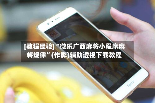 [教程经验]“微乐广西麻将小程序麻将规律”(作弊)辅助透视下载教程-第3张图片