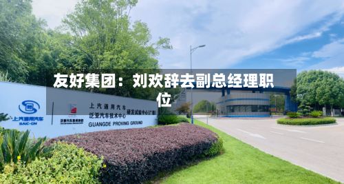 友好集团:刘欢辞去副总经理职位-第3张图片