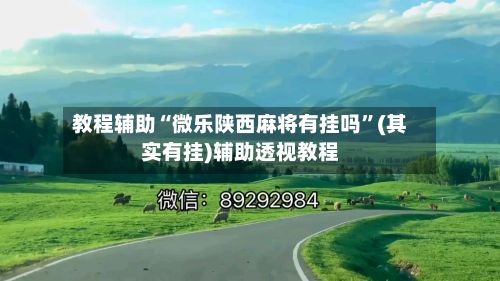 教程辅助“微乐陕西麻将有挂吗”(其实有挂)辅助透视教程-第3张图片
