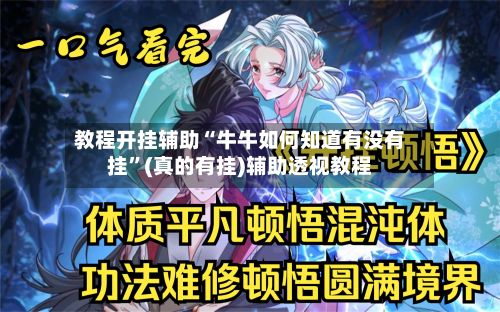 教程开挂辅助“牛牛如何知道有没有挂”(真的有挂)辅助透视教程-第3张图片