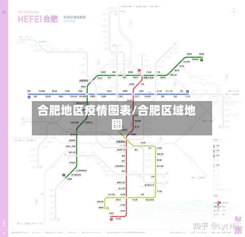 合肥地区疫情图表/合肥区域地图