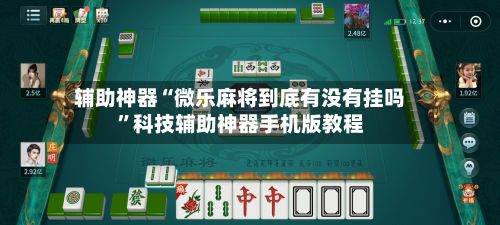 辅助神器“微乐麻将到底有没有挂吗”科技辅助神器手机版教程-第2张图片