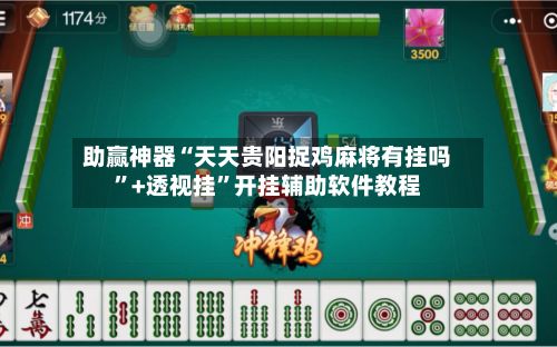 助赢神器“天天贵阳捉鸡麻将有挂吗”+透视挂”开挂辅助软件教程-第3张图片