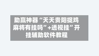 助赢神器“天天贵阳捉鸡麻将有挂吗”+透视挂	”开挂辅助软件教程-第2张图片