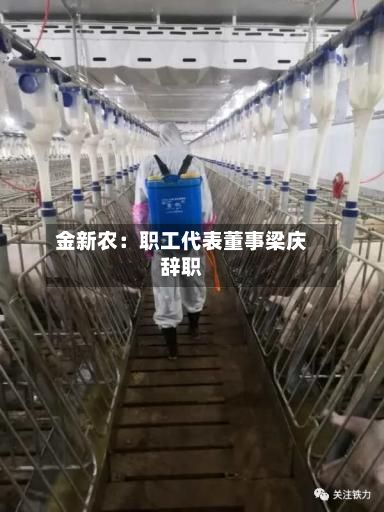金新农：职工代表董事梁庆辞职