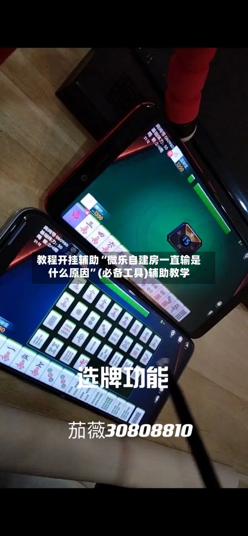 教程开挂辅助“微乐自建房一直输是什么原因”(必备工具)辅助教学-第2张图片