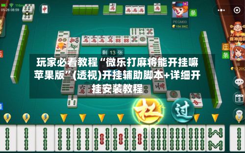 玩家必看教程“微乐打麻将能开挂嘛苹果版”(透视)开挂辅助脚本+详细开挂安装教程-第3张图片