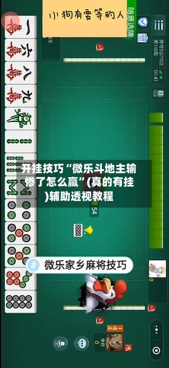 开挂技巧“微乐斗地主输惨了怎么赢”(真的有挂)辅助透视教程-第2张图片