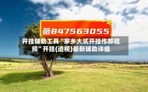 开挂辅助工具“家乡大贰开挂作弊视频”开挂(透视)最新辅助详细-第2张图片
