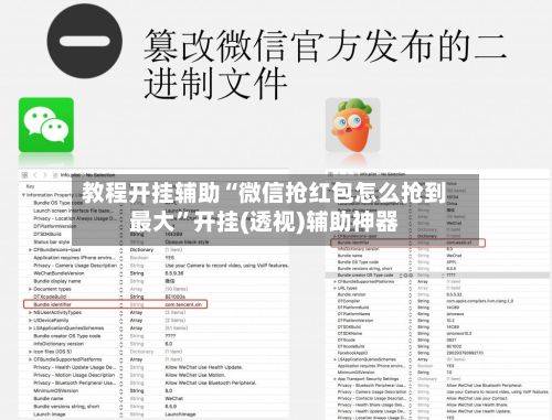 教程开挂辅助“微信抢红包怎么抢到最大”开挂(透视)辅助神器-第2张图片