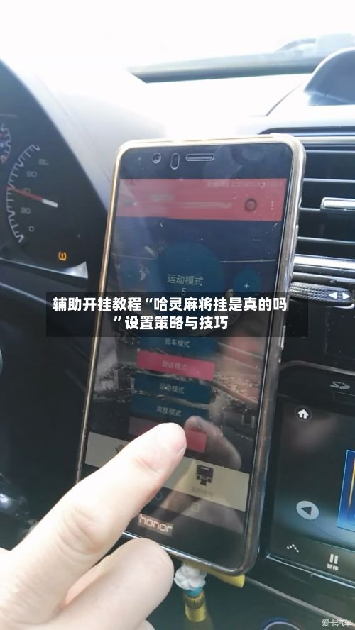 辅助开挂教程“哈灵麻将挂是真的吗”设置策略与技巧-第3张图片