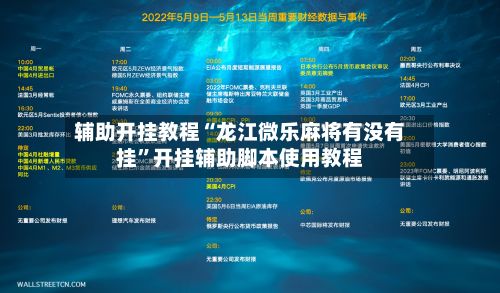 辅助开挂教程“龙江微乐麻将有没有挂”开挂辅助脚本使用教程-第3张图片