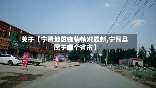 关于【宁晋地区疫情情况最新,宁晋县属于哪个省市】-第2张图片