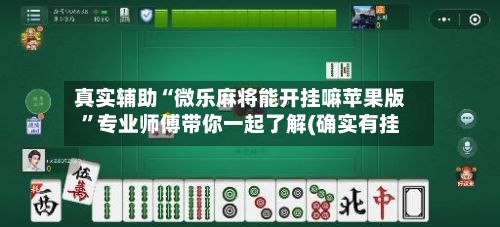 真实辅助“微乐麻将能开挂嘛苹果版”专业师傅带你一起了解(确实有挂