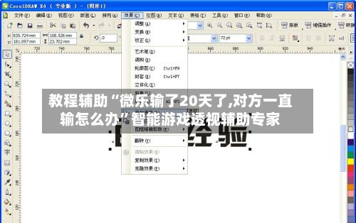 教程辅助“微乐输了20天了,对方一直输怎么办	”智能游戏透视辅助专家-第2张图片