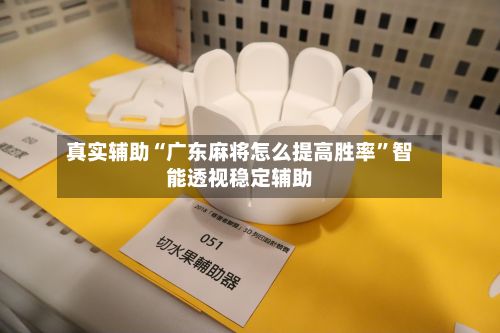 真实辅助“广东麻将怎么提高胜率	”智能透视稳定辅助-第2张图片
