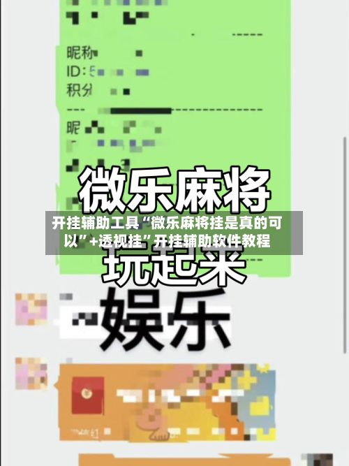 开挂辅助工具“微乐麻将挂是真的可以”+透视挂”开挂辅助软件教程-第3张图片