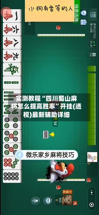 实测教程“四川蜀山麻将怎么提高胜率	”开挂(透视)最新辅助详细-第3张图片