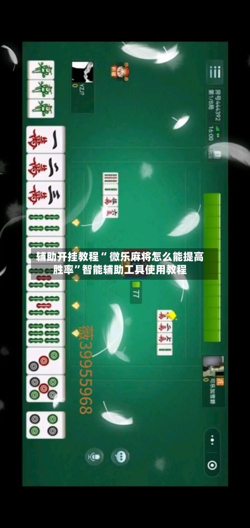 辅助开挂教程“ 微乐麻将怎么能提高胜率	”智能辅助工具使用教程-第2张图片