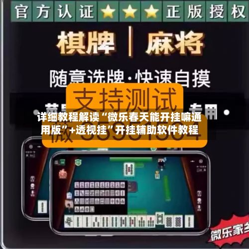 详细教程解读“微乐春天能开挂嘛通用版”+透视挂”开挂辅助软件教程-第3张图片