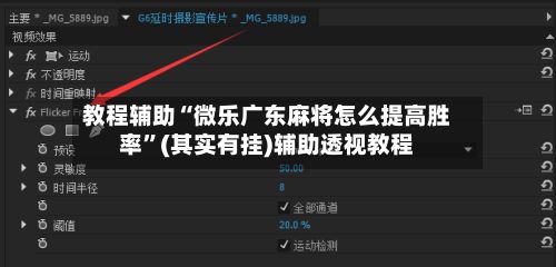 教程辅助“微乐广东麻将怎么提高胜率”(其实有挂)辅助透视教程-第2张图片