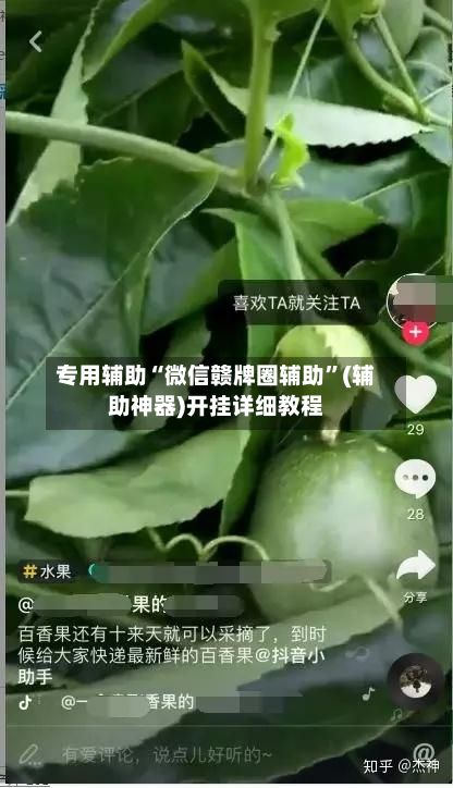 专用辅助“微信赣牌圈辅助	”(辅助神器)开挂详细教程-第2张图片
