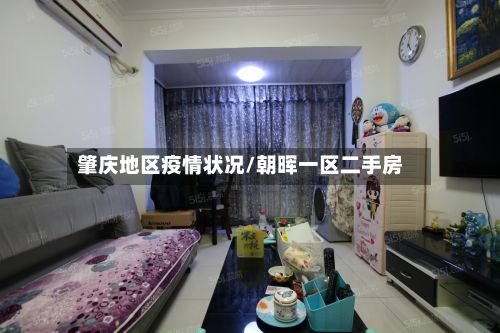 肇庆地区疫情状况/朝晖一区二手房-第3张图片