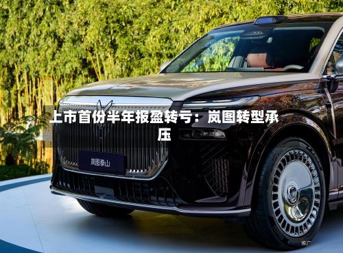 上市首份半年报盈转亏:岚图转型承压-第2张图片